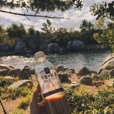 半岛·体育中国官方网站下载