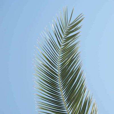 一分钟彩票极速赛车