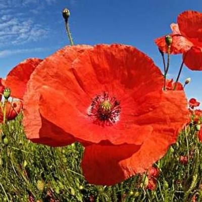 星空体育2024下载截图