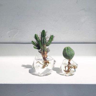 金沙官方登录入口