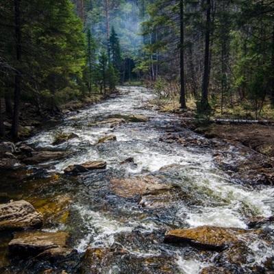 打鱼下载app下载