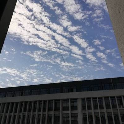 江南APP手机app下载