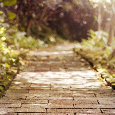 北单体彩网官网